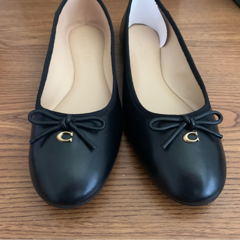 Coach Abigail Leather Ballet Flats